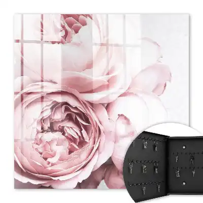 Beauté rose pleine d'élégance