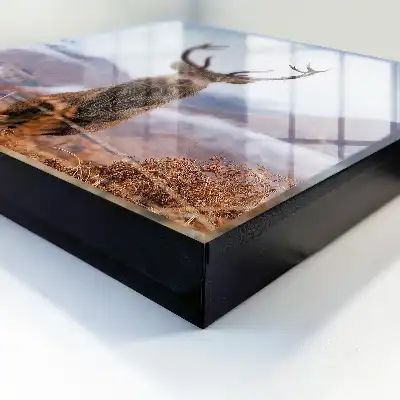 Tableau de cerfs de montagne dans un paysage brumeux