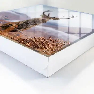 Tableau de cerfs de montagne dans un paysage brumeux