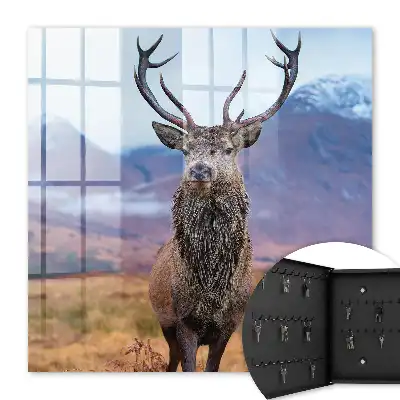 Cerfs dans un paysage de montagne en automne