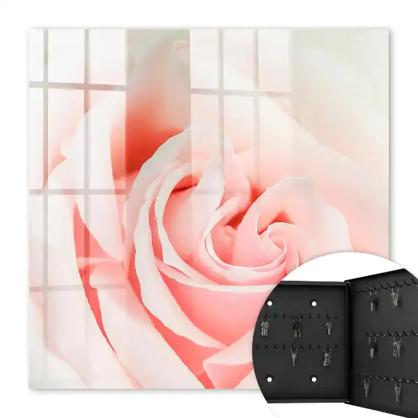 Rose romantique aux teintes pastel