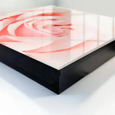 Rose romantique aux teintes pastel