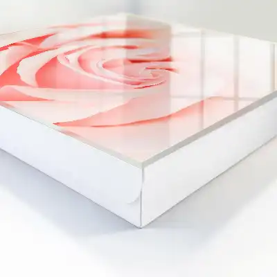 Rose romantique aux teintes pastel
