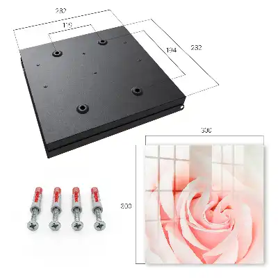 Rose romantique aux teintes pastel
