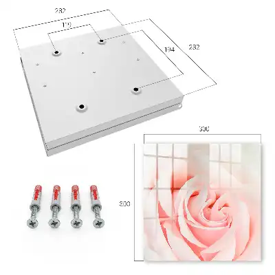 Rose romantique aux teintes pastel