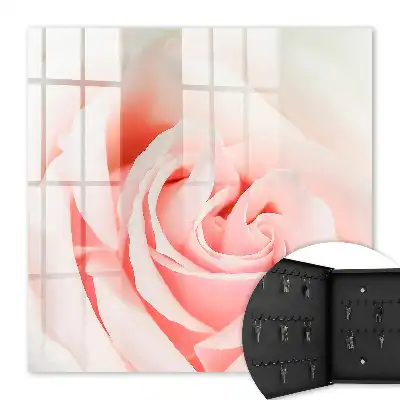Rose romantique aux teintes pastel
