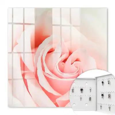 Rose romantique aux teintes pastel