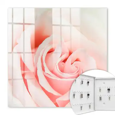 Rose romantique aux teintes pastel