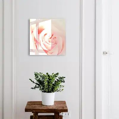 Rose romantique aux teintes pastel