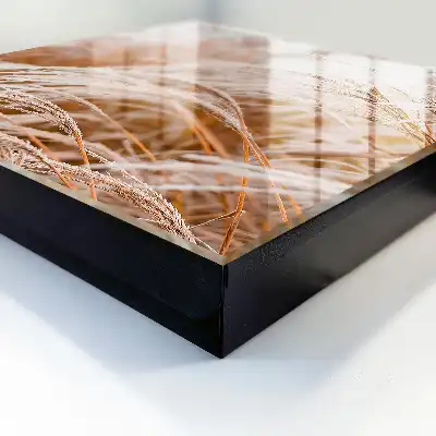 Herbes délicates dans des tons crème