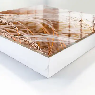 Herbes délicates dans des tons crème