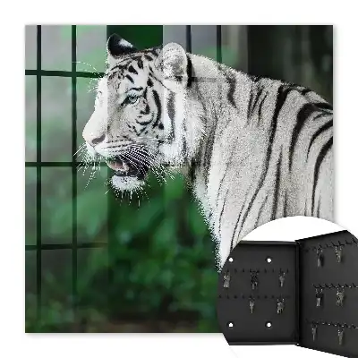 Tigre blanc dans un environnement verdoyant