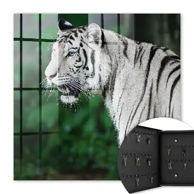 Tigre blanc dans un environnement verdoyant