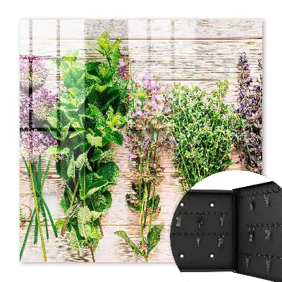 Herbes vertes énergie fraîcheur