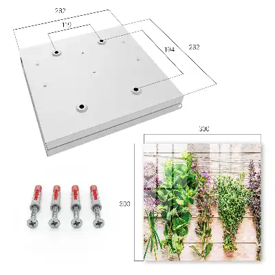 Herbes vertes énergie fraîcheur