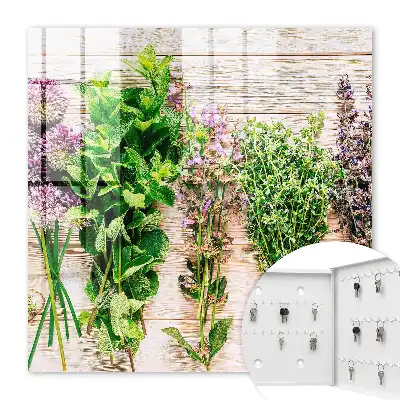 Herbes vertes énergie fraîcheur