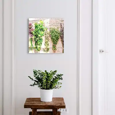 Herbes vertes énergie fraîcheur