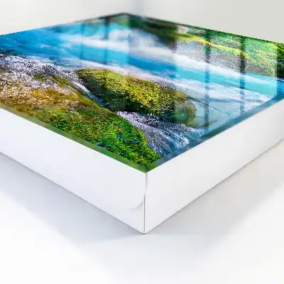 Une rivière paisible au milieu de la verdure