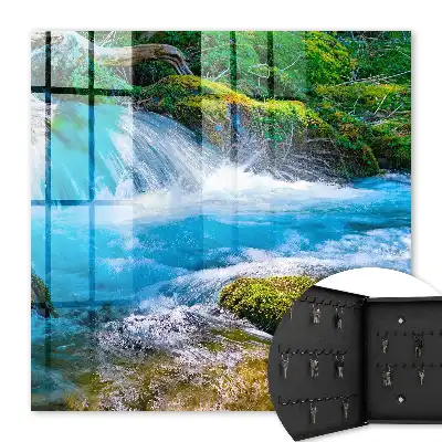 Une rivière paisible au milieu de la verdure