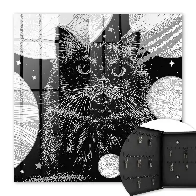 Chat de l'espace Harmonie parfaite