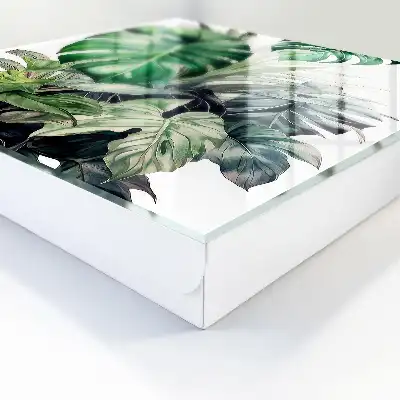 Feuilles tropicales exotiques