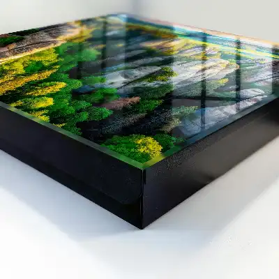 Rochers et forêt verte