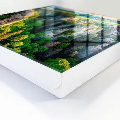 Rochers et forêt verte