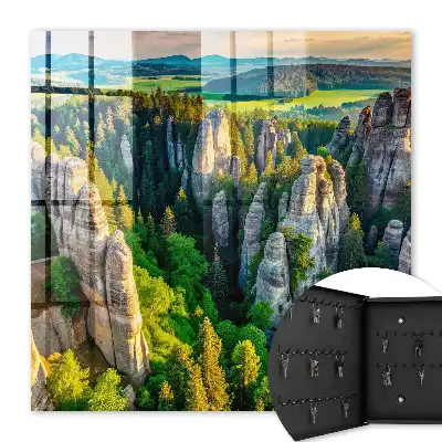 Rochers et forêt verte