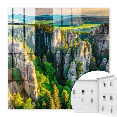 Rochers et forêt verte