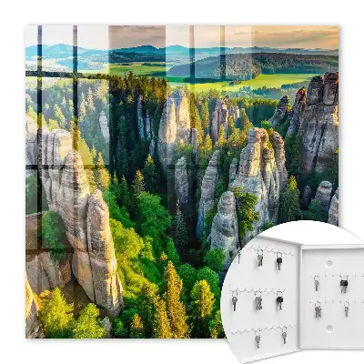 Rochers et forêt verte