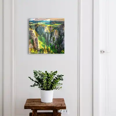 Rochers et forêt verte