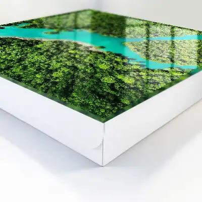 Harmonie d'un paradis vert au cœur de la nature