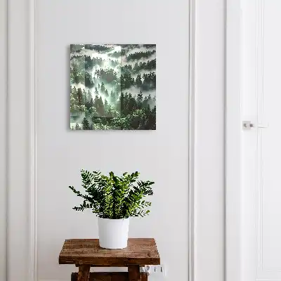 Forêt brumeuse, le charme du silence