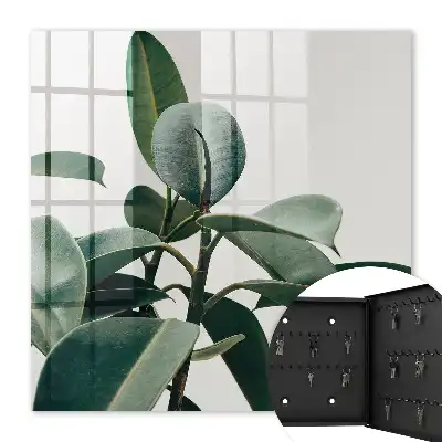 Feuilles de ficus sur fond clair