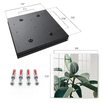 Feuilles de ficus sur fond clair