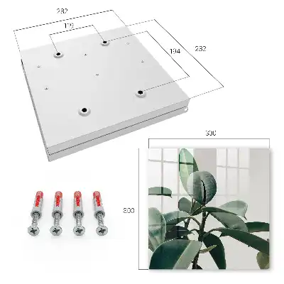 Feuilles de ficus sur fond clair