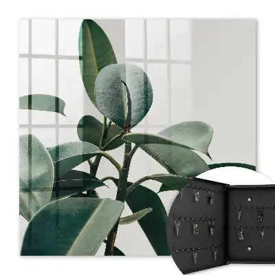 Feuilles de ficus sur fond clair