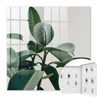 Feuilles de ficus sur fond clair