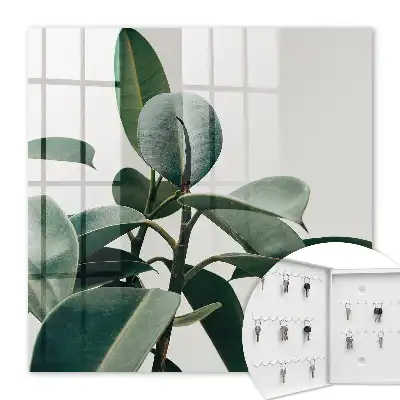 Feuilles de ficus sur fond clair