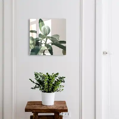 Feuilles de ficus sur fond clair