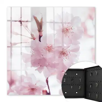 Cerisiers en fleurs empreints d'harmonie