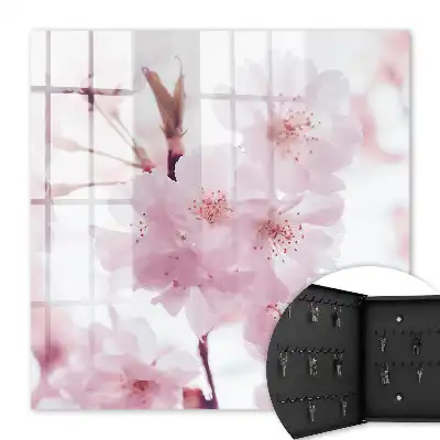 Cerisiers en fleurs empreints d'harmonie