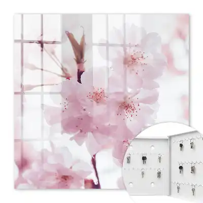 Cerisiers en fleurs empreints d'harmonie