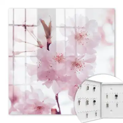 Cerisiers en fleurs empreints d'harmonie