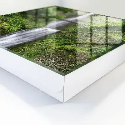 Harmonie naturelle entourée de verdure