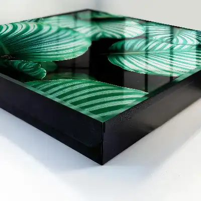 Structure de la feuille verte