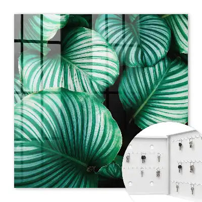 Structure de la feuille verte