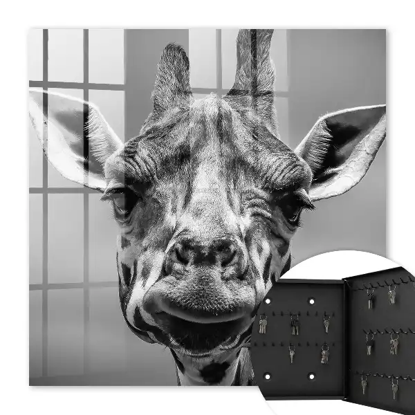 Portrait de girafe en noir et blanc