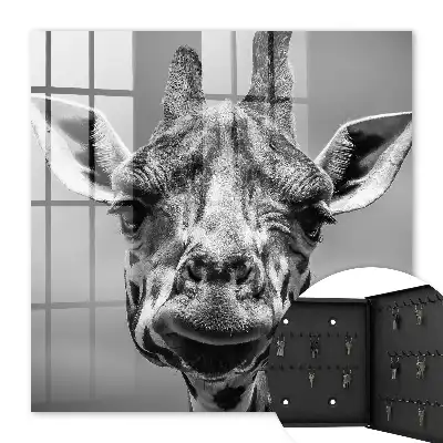 Portrait de girafe en noir et blanc