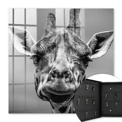 Portrait de girafe en noir et blanc